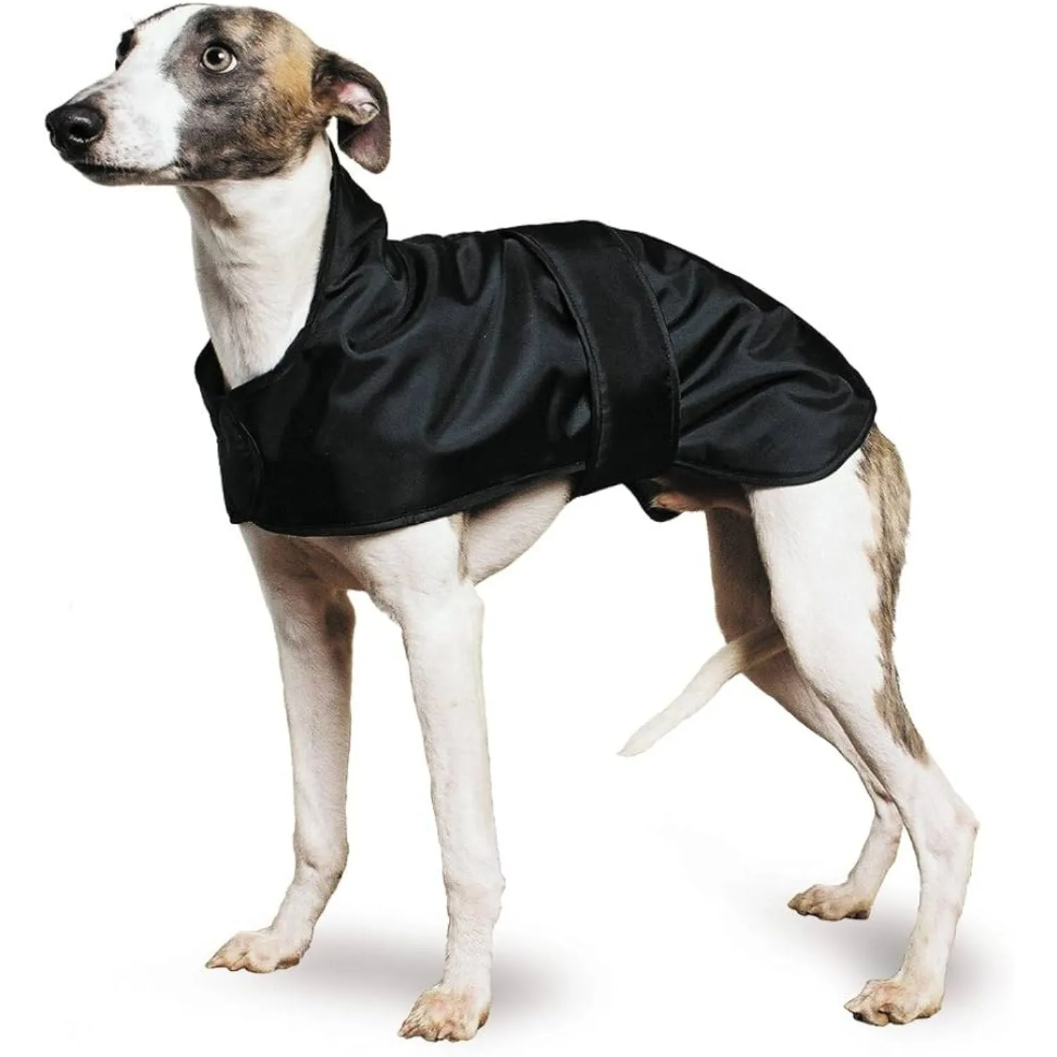 Ancol 43cm Black Whippet Coat - Medium