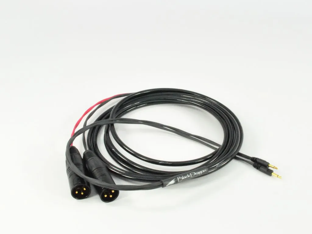 Black Dragon Cable V2 for Sennheiser HD 700 Headphones