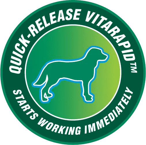 Bundle Pack of 4 x VitaRapid® Skin & Coat Daily Treats For Dogs - 210g YT