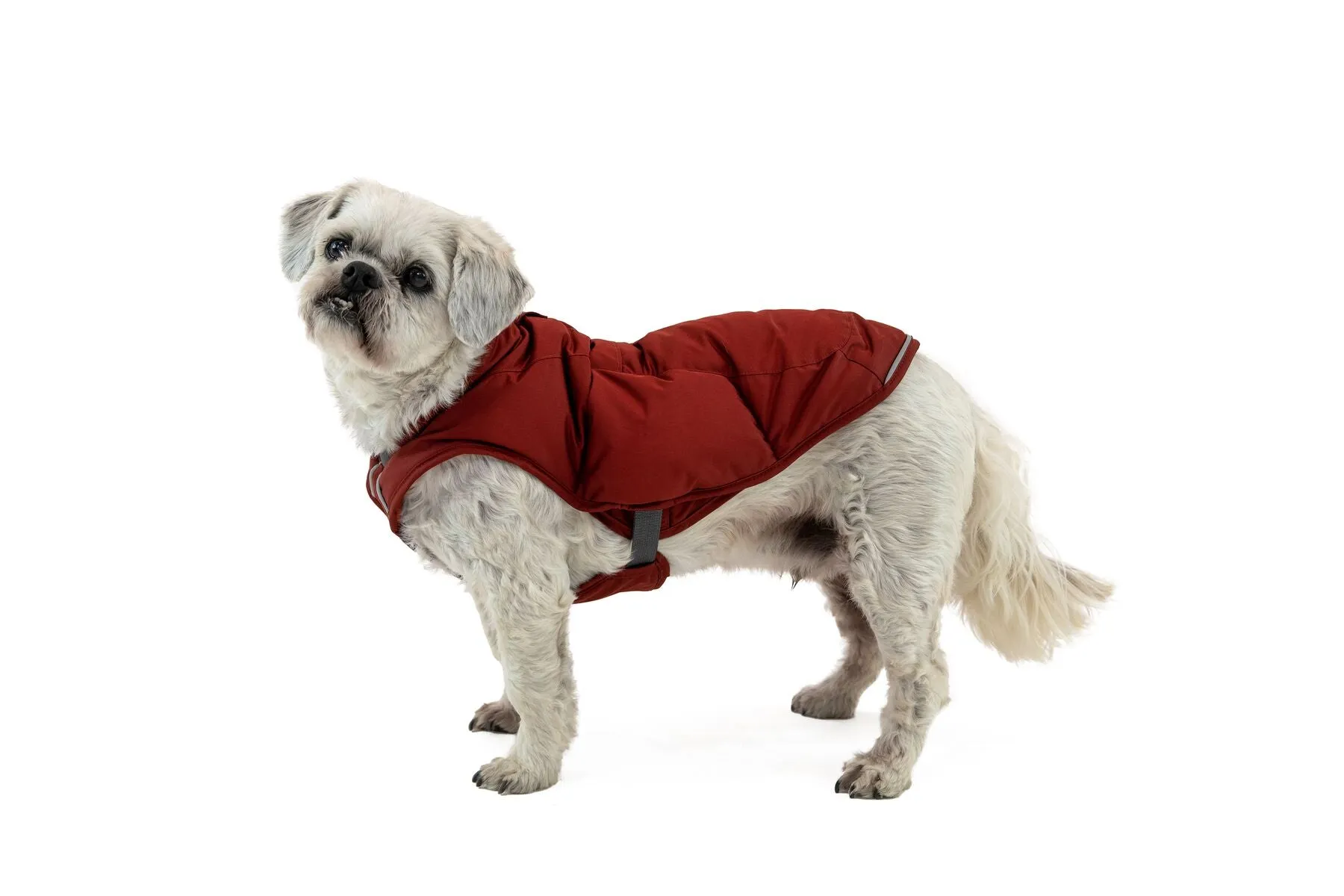 Ruffwear Quinzee Dog Winter Coat