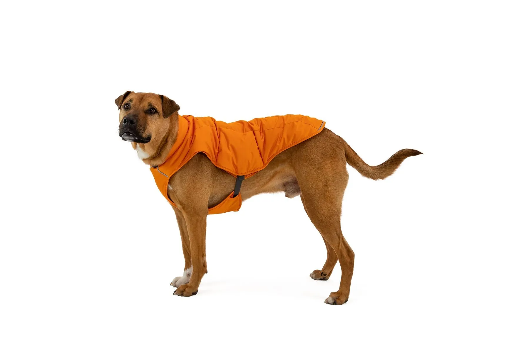 Ruffwear Quinzee Dog Winter Coat