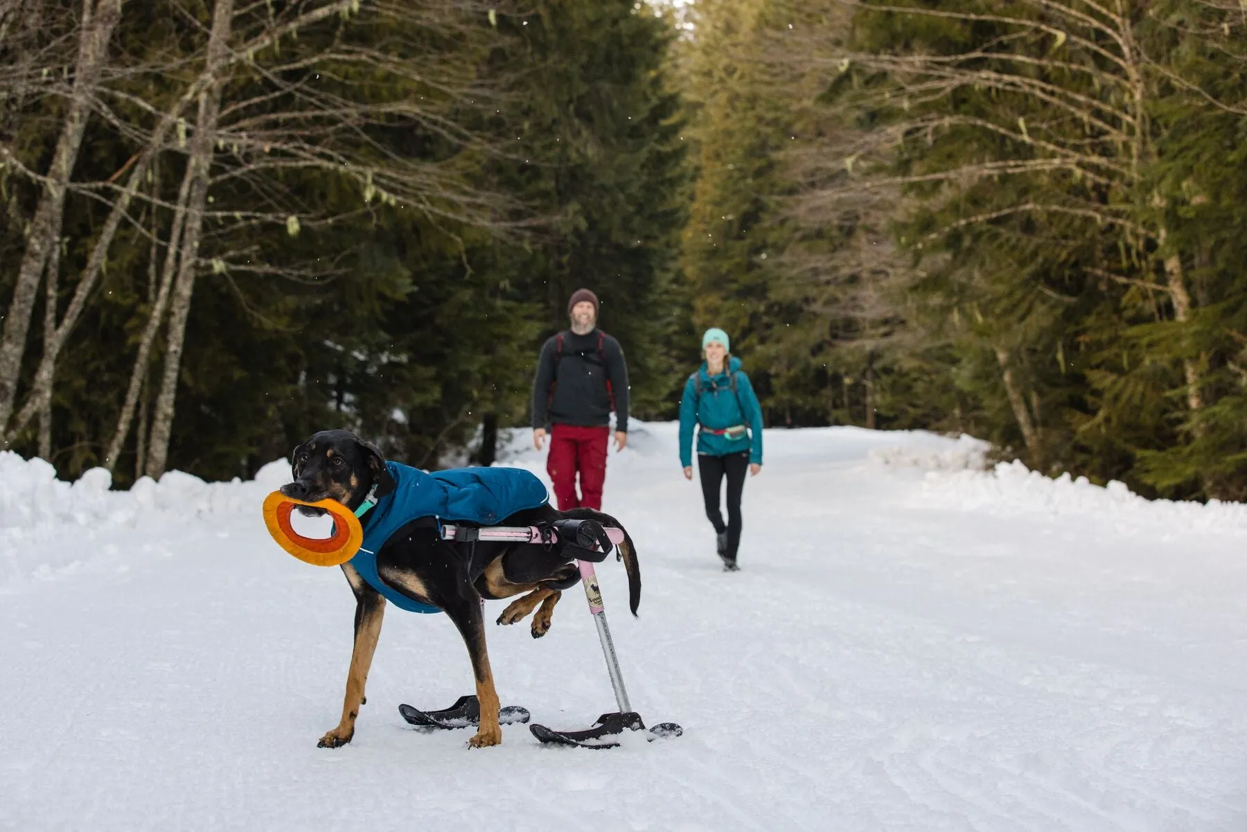 Ruffwear Quinzee Dog Winter Coat