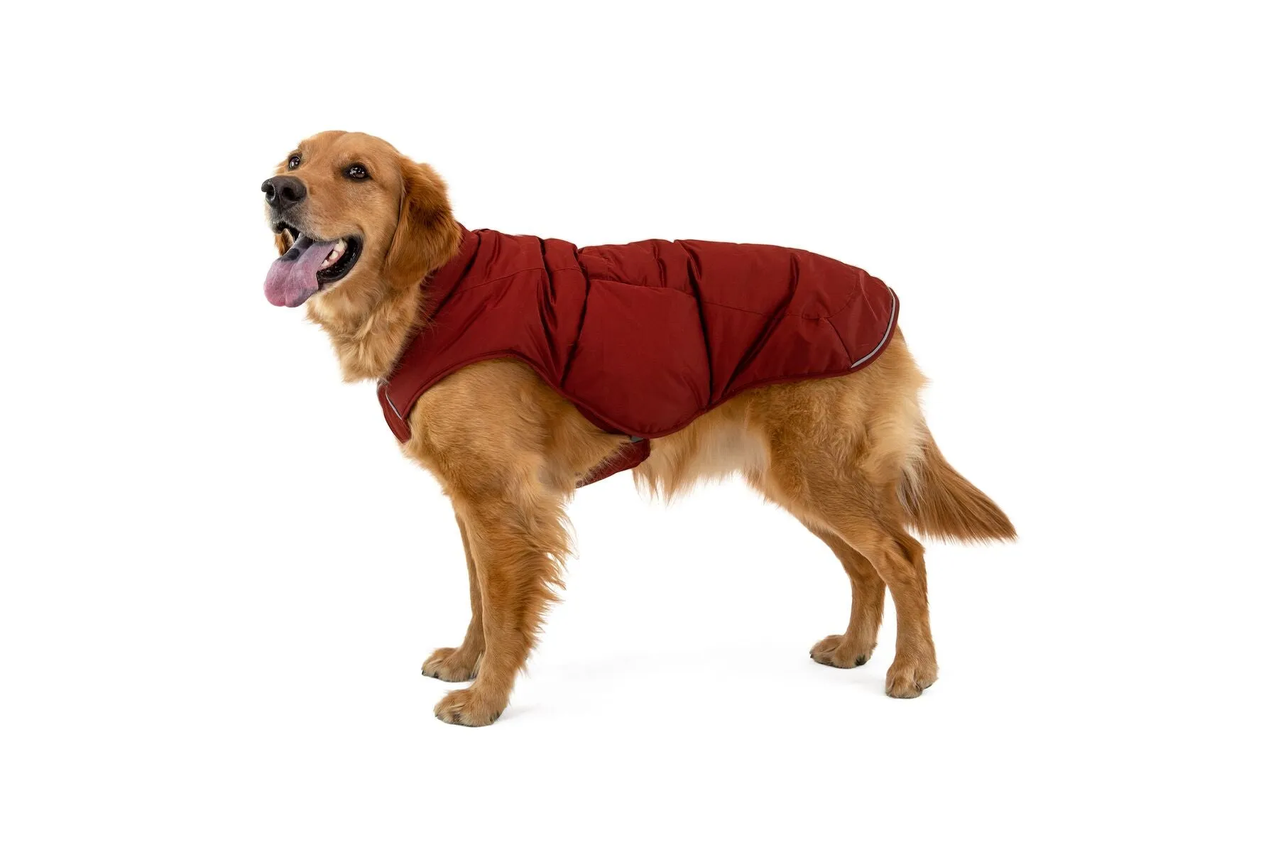 Ruffwear Quinzee Dog Winter Coat